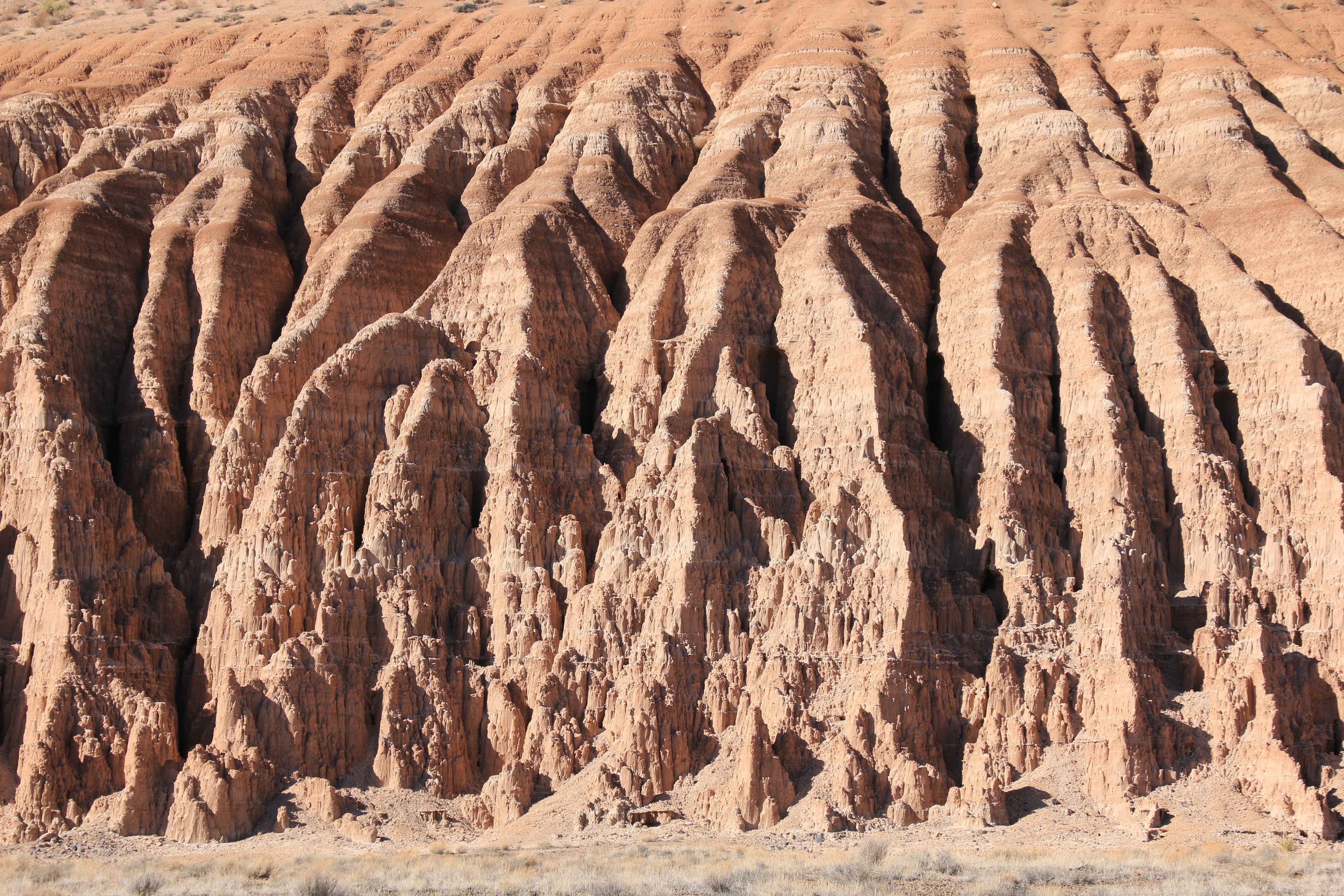 Nevada